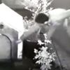 Köpeği uyandırıp, kulübesini çaldılar Köpeği uyandırıp, kulübesini çaldılar