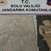 Bolu'da yolcu otobüsüne operasyon: Tarihi eserlerle yakalanan yabancı uyruklu şahıs gözaltına alındı Bolu'da yolcu otobüsüne operasyon: Tarihi eserlerle yakalanan yabancı uyruklu şahıs gözaltına alındı