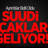 Suudi Arabistan Uçakları Geliyor!