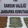 2 bin 333 tarihi sikke yakalandı 2 bin 333 tarihi sikke yakalandı