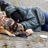 İngiliz polisi dilenci oldu İngiliz polisi dilenci oldu