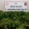Jandarma zehir tacirlerine geçit yok Jandarma zehir tacirlerine geçit yok