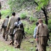 Şırnak'ta 9 Terörist Teslim Oldu Şırnak'ta 9 Terörist Teslim Oldu