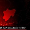 Online "şah-mat" mücadelesi verdiler Online "şah-mat" mücadelesi verdiler