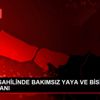 FLORYA SAHİLİNDE BAKIMSIZ YAYA VE BİSİKLET YOLU İSYANI
