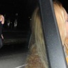 Hadise ile Hakan Baş yine gecelerde Hadise ile Hakan Baş yine gecelerde