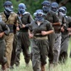 Şırnak'ta 5 PKK'lı teslim oldu Şırnak'ta 5 PKK'lı teslim oldu