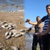 Kıyıya vuran ölü balıklar tedirginlik yarattı Kıyıya vuran ölü balıklar tedirginlik yarattı