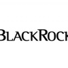 Blackrock Türkiye'ye gelecek