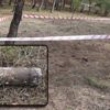 Çanakkale Savaşı'ndan kalma patlamamış top mermisi bulundu Çanakkale Savaşı'ndan kalma patlamamış top mermisi bulundu
