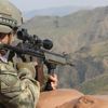 Tunceli'de 10 terörist etkisiz hale getirildi
