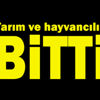 AB sevdasına tarım ve hayvancılık bitti AB sevdasına tarım ve hayvancılık bitti