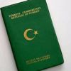 Yeşil pasaport ihracatçıyı uçurdu