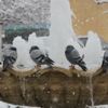 Doğu’da soğuk hava: Göle eksi 40
