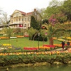 En büyük hedef Emirgan