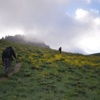 Foto Galeri: Terör Doğa Turizmini Vurdu Foto Galeri: Terör Doğa Turizmini Vurdu