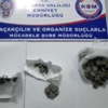 Bonzaiden sonra yeni tehdit Bonzaiden sonra yeni tehdit