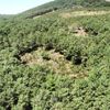 Son Dakika | Aydos Ormanı nda drone ile mangal denetimi ... Son Dakika | Aydos Ormanı nda drone ile mangal denetimi ...