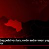 Kırkpınar başpehlivanları, evde antrenman yaparak ... Kırkpınar başpehlivanları, evde antrenman yaparak ...