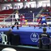 Genç Erkekler Türkiye Boks Şampiyonası Genç Erkekler Türkiye Boks Şampiyonası