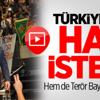 Demirtaş, Terör Bayrakları Altında Hak İstedi! Demirtaş, Terör Bayrakları Altında Hak İstedi!