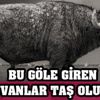 Yabancı kuralının ardından Erkan Zengin'e yeni teklif' Yabancı kuralının ardından Erkan Zengin'e yeni teklif'