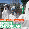 Japonya nükleer enerji üretmeye devam edecek