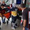 Ceviz ağacından düşen yaşlı adam hayatını kaybetti Ceviz ağacından düşen yaşlı adam hayatını kaybetti