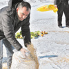 Yaban hayvanlarına yem desteği Yaban hayvanlarına yem desteği