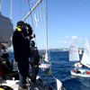 Yelken: 8. Bodrum Uluslararası Optimist Yarışları Yelken: 8. Bodrum Uluslararası Optimist Yarışları
