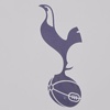 Katarlıların gözü Tottenham’da Katarlıların gözü Tottenham’da