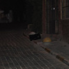 İzmir’de bomba paniği İzmir’de bomba paniği