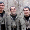 İşte Sultanbeyli canileri İşte Sultanbeyli canileri