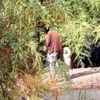 Köpeğe tecavüz haberi asılsız çıktı