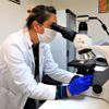 Yerel tohumlar laboratuvarlarda test ediliyor Yerel tohumlar laboratuvarlarda test ediliyor