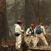 California'da orman yangını: Kayıp sayısı 631'e çıktı