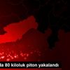Malezya da 80 kiloluk piton yakalandı Malezya da 80 kiloluk piton yakalandı