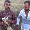 Son dakika! Yaralı Şahini itfaiye kurtardı