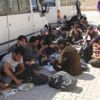 75 kaçak göçmen yakalandı 75 kaçak göçmen yakalandı