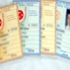 Yeni Yılın Kimlikleri El Yakacak!