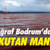 Türk kökenli vekiller partilerinden ihraç edildi Türk kökenli vekiller partilerinden ihraç edildi