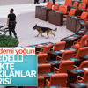 Milletvekillerini yoğun bir mesai bekliyor Milletvekillerini yoğun bir mesai bekliyor