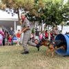 Mersin de İtfaiye Haftası nda çocuklara özel arama-kurtarma ... Mersin de İtfaiye Haftası nda çocuklara özel arama-kurtarma ...