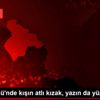 Çıldır Gölü nde kışın atlı kızak, yazın da yüzme keyfi