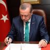 Revizyon ekonomi kurmaylarına takıldı
