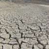 Uzmanından kuraklık uyarısı: Susuzluk bulaşıcı hastalıkları artıracak