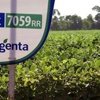 Syngenta 45 milyar dolarlık teklifi reddetti Syngenta 45 milyar dolarlık teklifi reddetti
