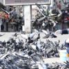 İstanbul'da sokak hayvanlarına mama desteği