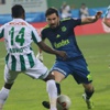Pereira'dan kupada yedek kadro