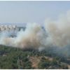 İzmir'in Buca ilçesindeki ormanlık alanda, yangın çıktı